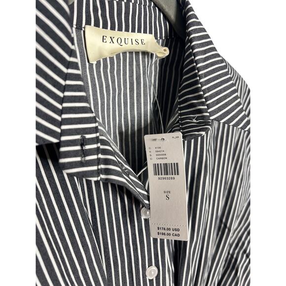 NWT Anthropologie Exquise The Tobie Button-Front Pleated Shirt Dress Mini Small - Picture 7 of 8